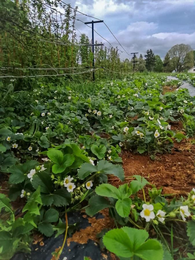 Gacka-Beautiful Place In Nature Otocac Ngoại thất bức ảnh